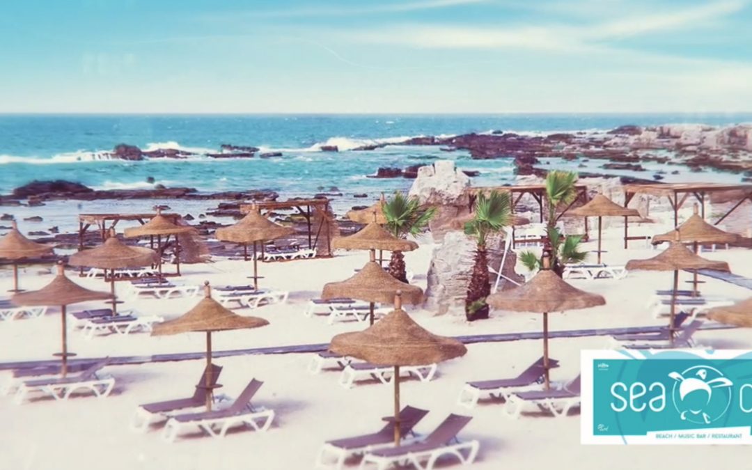 Why choosing Favignana?